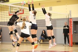 NSTL Merginų lygos pusfinalio kovoje LSU pergalė prieš KTU studentes