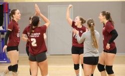 VDU įveikė LSU tinklininkes 3:2