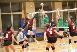 Pergalingas VDU sezono startas prieš ISTA